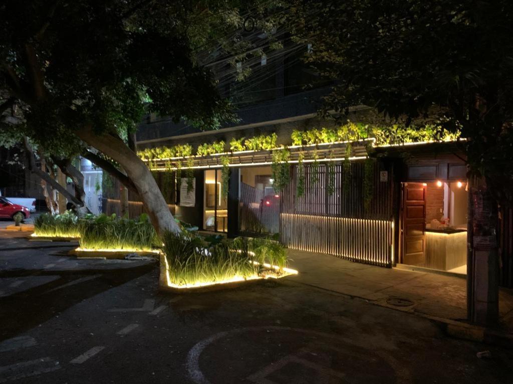 Frontera 49 Roma Norte Hostal Mexico City Exterior photo